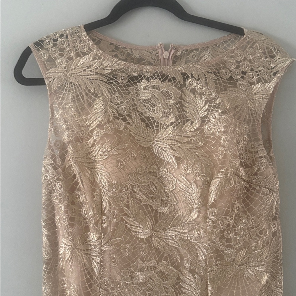 Alex Evenings Lace Evening Gown size 10 - Picture 3 of 11